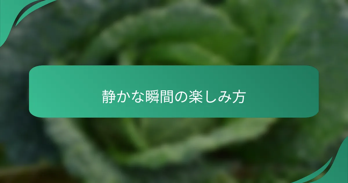 静かな瞬間の楽しみ方