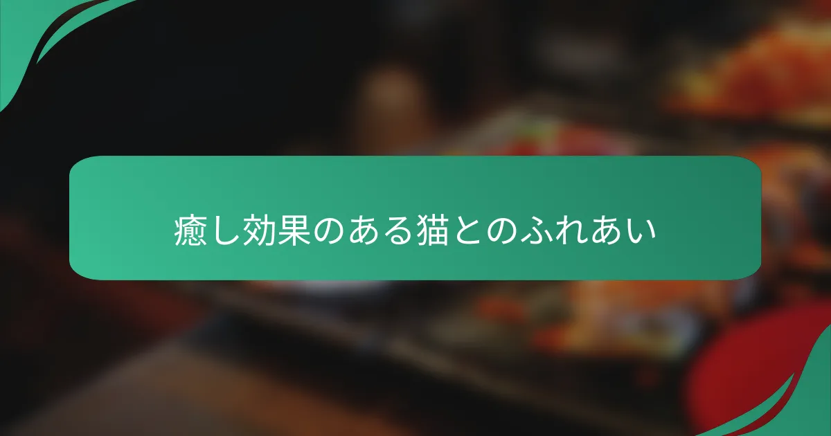 癒し効果のある猫とのふれあい